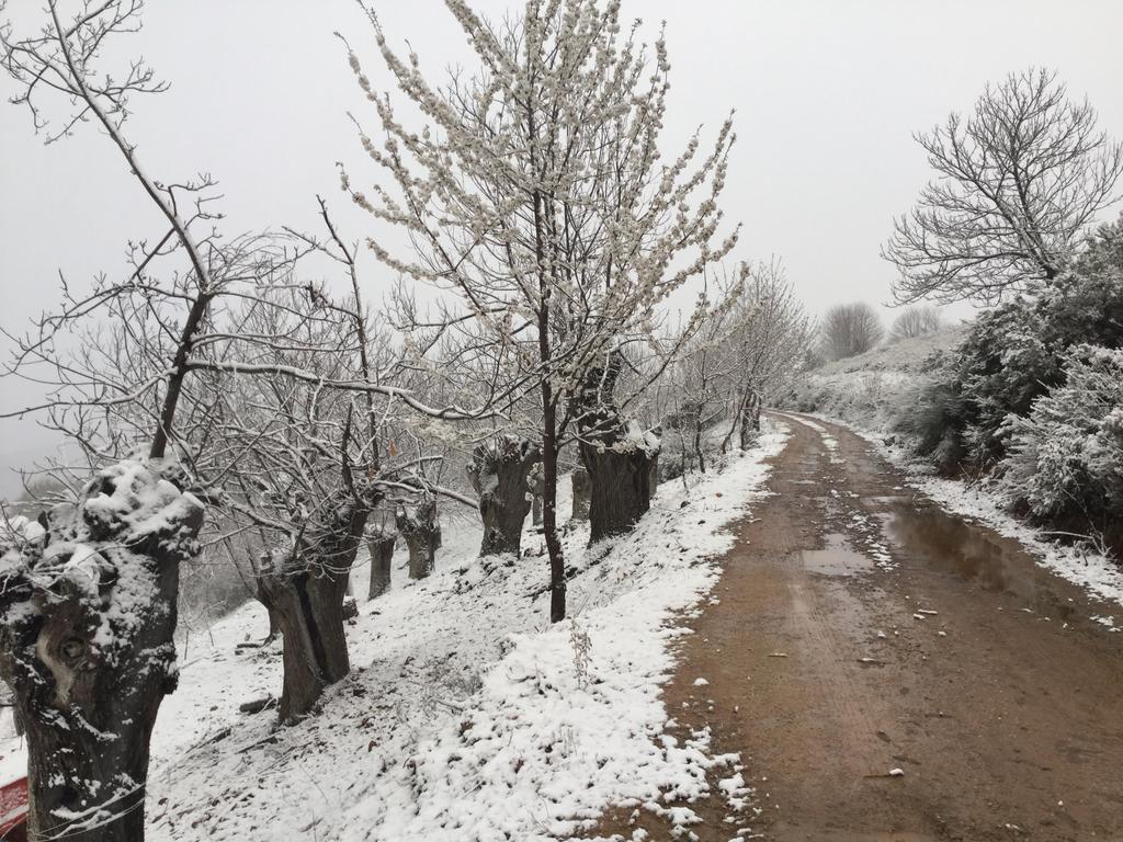Hotel Rural El Lagar De Las Medulas Orellán Zewnętrze zdjęcie